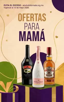 Folleto Bodegas Alianza (válido hasta 10-05)