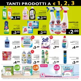 Volantino Maxi Supermercati Pagina 15