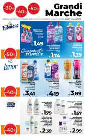 Volantino Ipercoop Radenza Pagina 13