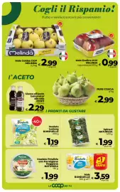 Volantino Ipercoop Radenza Pagina 32