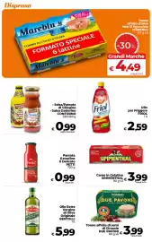 Volantino Ipercoop Radenza Pagina 41