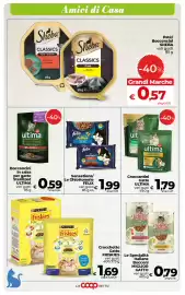 Volantino Ipercoop Radenza Pagina 51