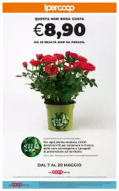 Volantino Ipercoop Radenza Pagina 56