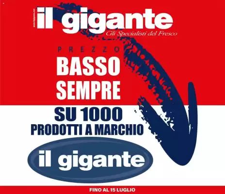 Volantino Il Gigante (valido fino al 15-07)