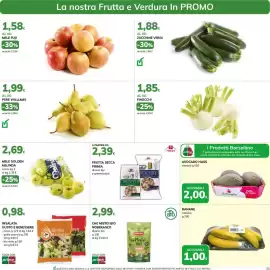Volantino Basko Pagina 11