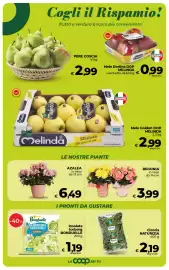 Volantino Coop Radenza Pagina 24
