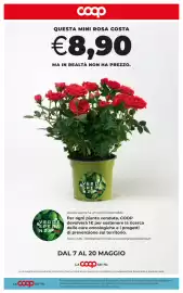 Volantino Coop Radenza Pagina 41