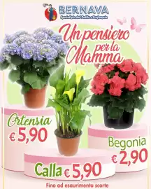 Volantino Bernava Pagina 1