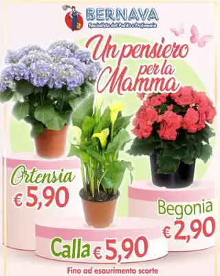 Bernava (valido fino al 10-05)