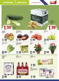 Volantino Conté Supermercati Pagina 5