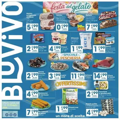 Volantino BluVivo (valido fino al 10-05)
