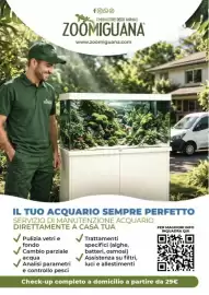 Volantino Zoomiguana Pagina 13