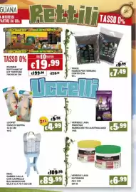 Volantino Zoomiguana Pagina 9