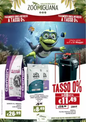 Zoomiguana (valido fino al 31-05)