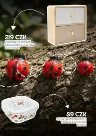 Sinsay leták Strana 5