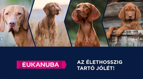 Alpha Zoo akciós újság hét 19 Oldal 8