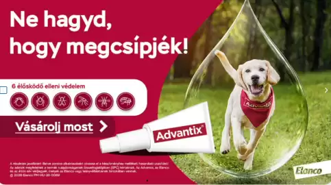 Alpha Zoo akciós újság hét 19 Oldal 1