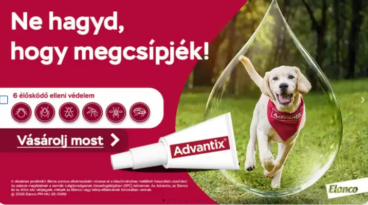 Alpha Zoo akciós újság (érvényes eddig: 13-05)