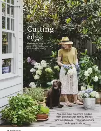 Bunnings catalogue Page 46