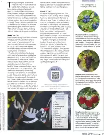 Bunnings catalogue Page 47