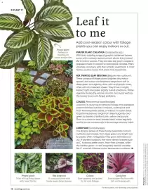 Bunnings catalogue Page 48