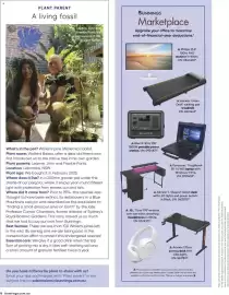 Bunnings catalogue Page 8