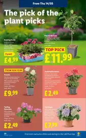 Lidl leaflet week 20 Page 22