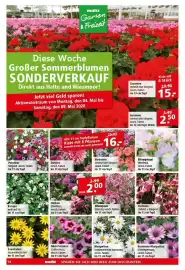 Multi Markt Prospekt woche 19 Seite 14