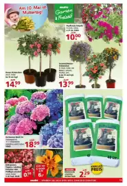 Multi Markt Prospekt woche 19 Seite 15