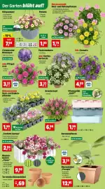 Thomas Philipps Prospekt woche 20 Seite 2