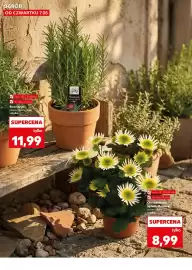 Kaufland gazetka tydzień 19 Strona 10