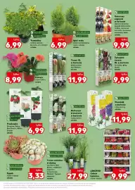Kaufland gazetka tydzień 19 Strona 11