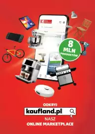 Kaufland gazetka tydzień 19 Strona 15