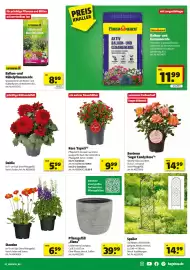Leitermann Baumarkt Prospekt woche 18 Seite 3