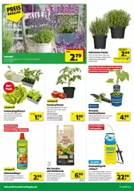 Leitermann Baumarkt Prospekt woche 18 Seite 4