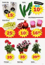 Pekås reklamblad vecka 20 Sida 5