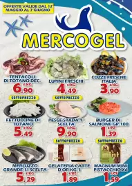 Volantino Mercogel Pagina 1