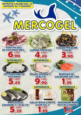 Mercogel (valido fino al 7-06)