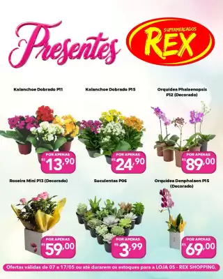 Rex (válido até 17-05)