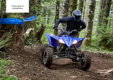 Catalogue Yamaha page 10