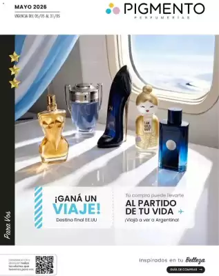Pigmento (válido hasta 1-06)