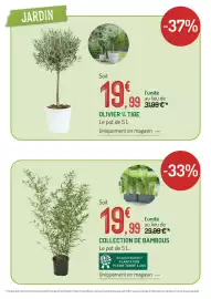 Catalogue Botanic page 4