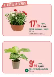Catalogue Botanic page 8