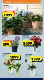 ALDI akciós újság hét 19 Oldal 33