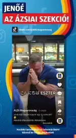 ALDI akciós újság hét 19 Oldal 41