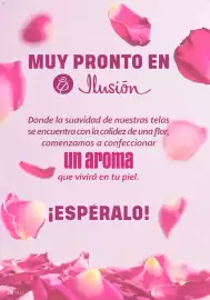 Catálogo Ilusión Página 241