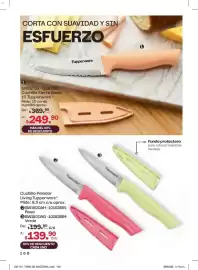 Catálogo Tupperware Página 100