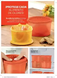 Catálogo Tupperware Página 42