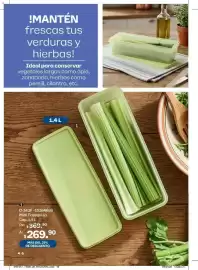 Catálogo Tupperware Página 46