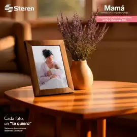 Catálogo Steren Página 1